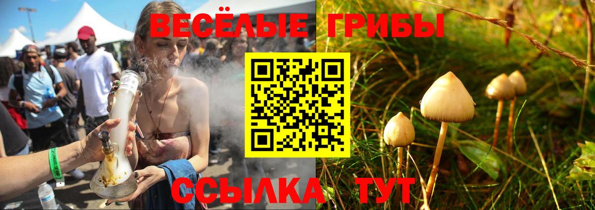 Галлюциногенные грибы прущие грибы  Галлюциногенные грибы Psilocybine cubensis  Вход с VPN  Елабуга 